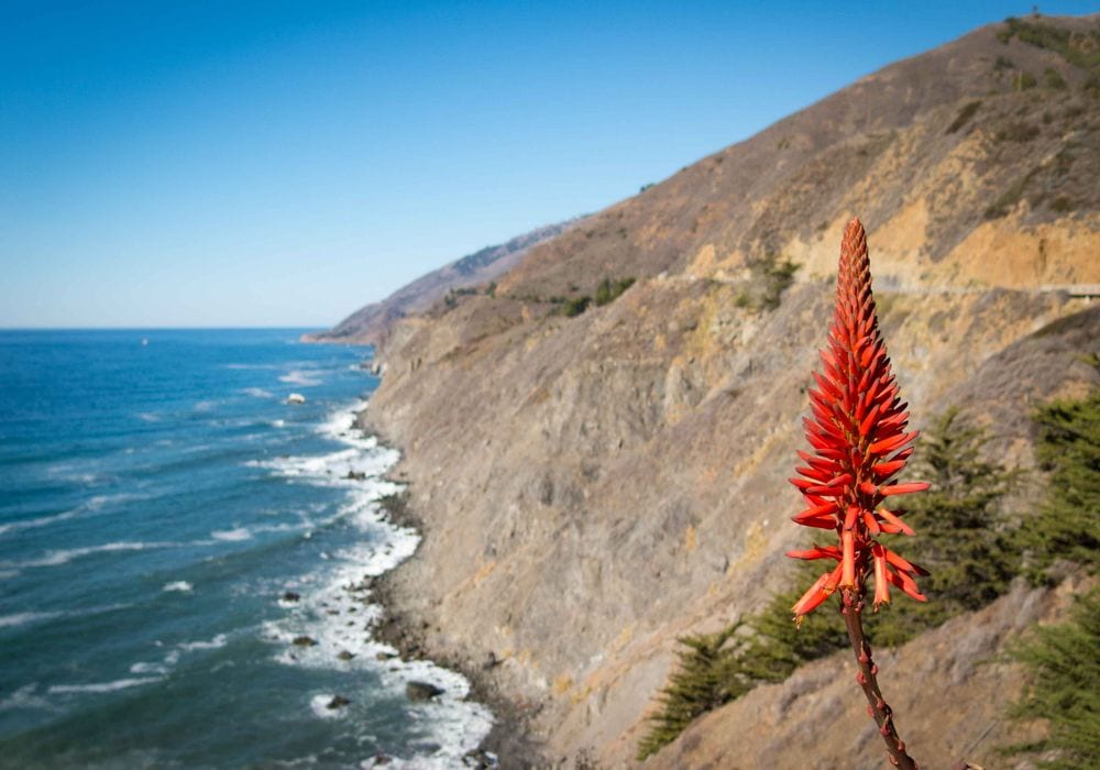Bolinas through the seasons